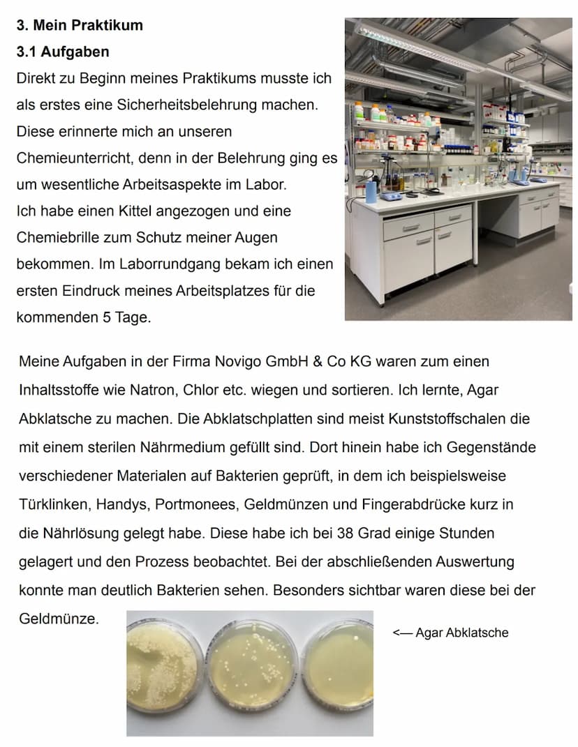 Praktikumsbericht
Gesamtschule Gießen-Ost
Gesamtschule Gießen-Ost Alter Steinbacher Weg 28 35394 Gießen
Schuljahr 2021/22
Praktikumsbericht 