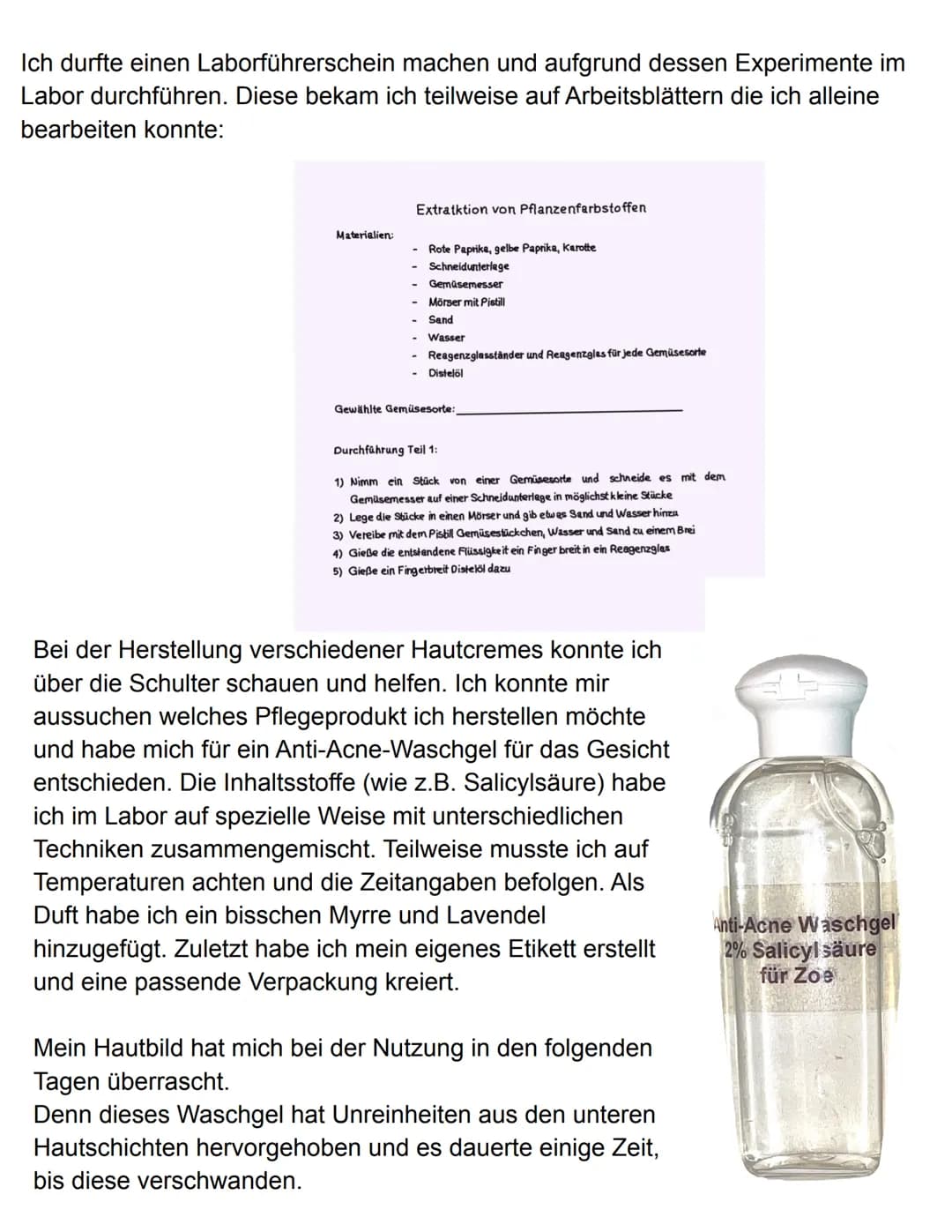 Praktikumsbericht
Gesamtschule Gießen-Ost
Gesamtschule Gießen-Ost Alter Steinbacher Weg 28 35394 Gießen
Schuljahr 2021/22
Praktikumsbericht 