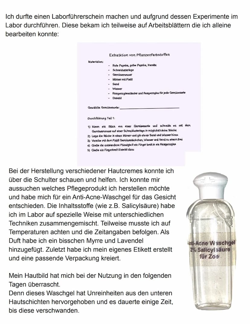 Praktikumsbericht
Gesamtschule Gießen-Ost
Gesamtschule Gießen-Ost Alter Steinbacher Weg 28 35394 Gießen
Schuljahr 2021/22
Praktikumsbericht 