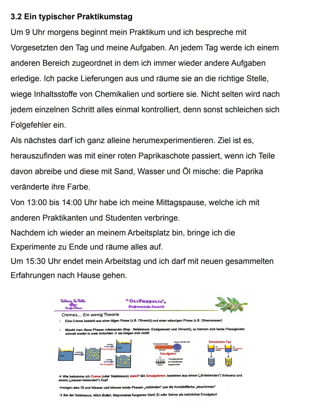 Praktikumsbericht
Gesamtschule Gießen-Ost
Gesamtschule Gießen-Ost Alter Steinbacher Weg 28 35394 Gießen
Schuljahr 2021/22
Praktikumsbericht 