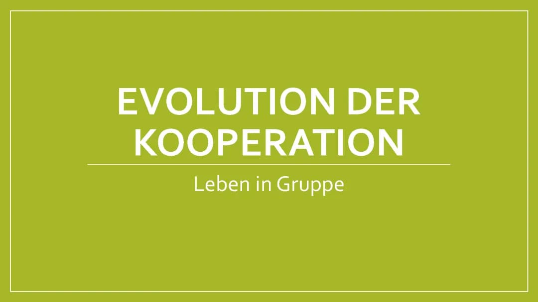 Tierverbände in der Biologie: Beispiele und Steckbriefe von Löwen und Geparden