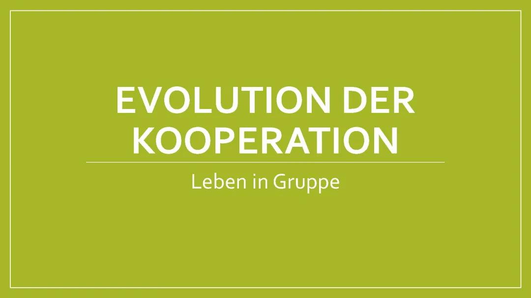 Tierverbände in der Biologie: Beispiele und Steckbriefe von Löwen und Geparden