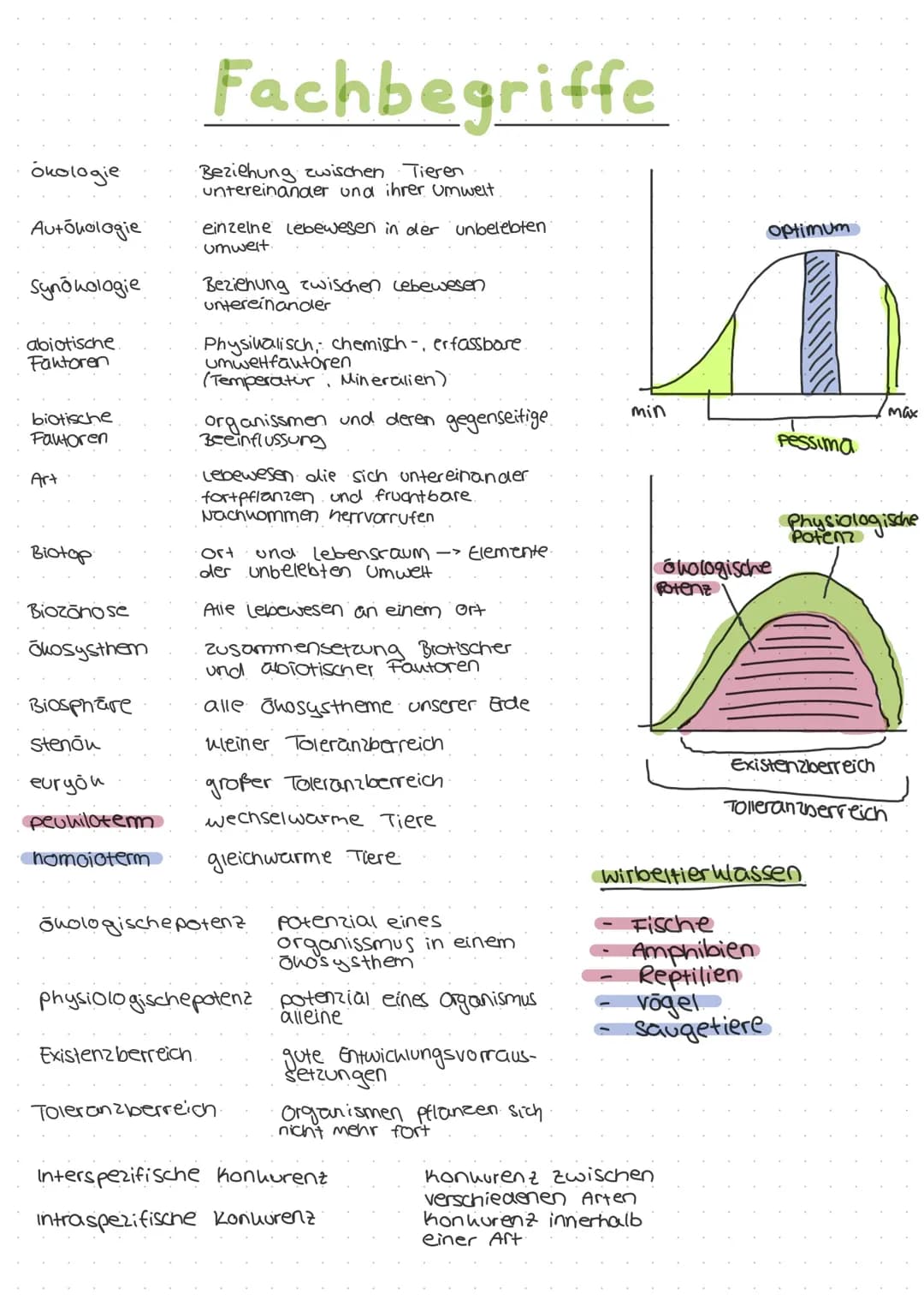 Ökologie Lernzettel QPhase/Klausur Vorbereitung 