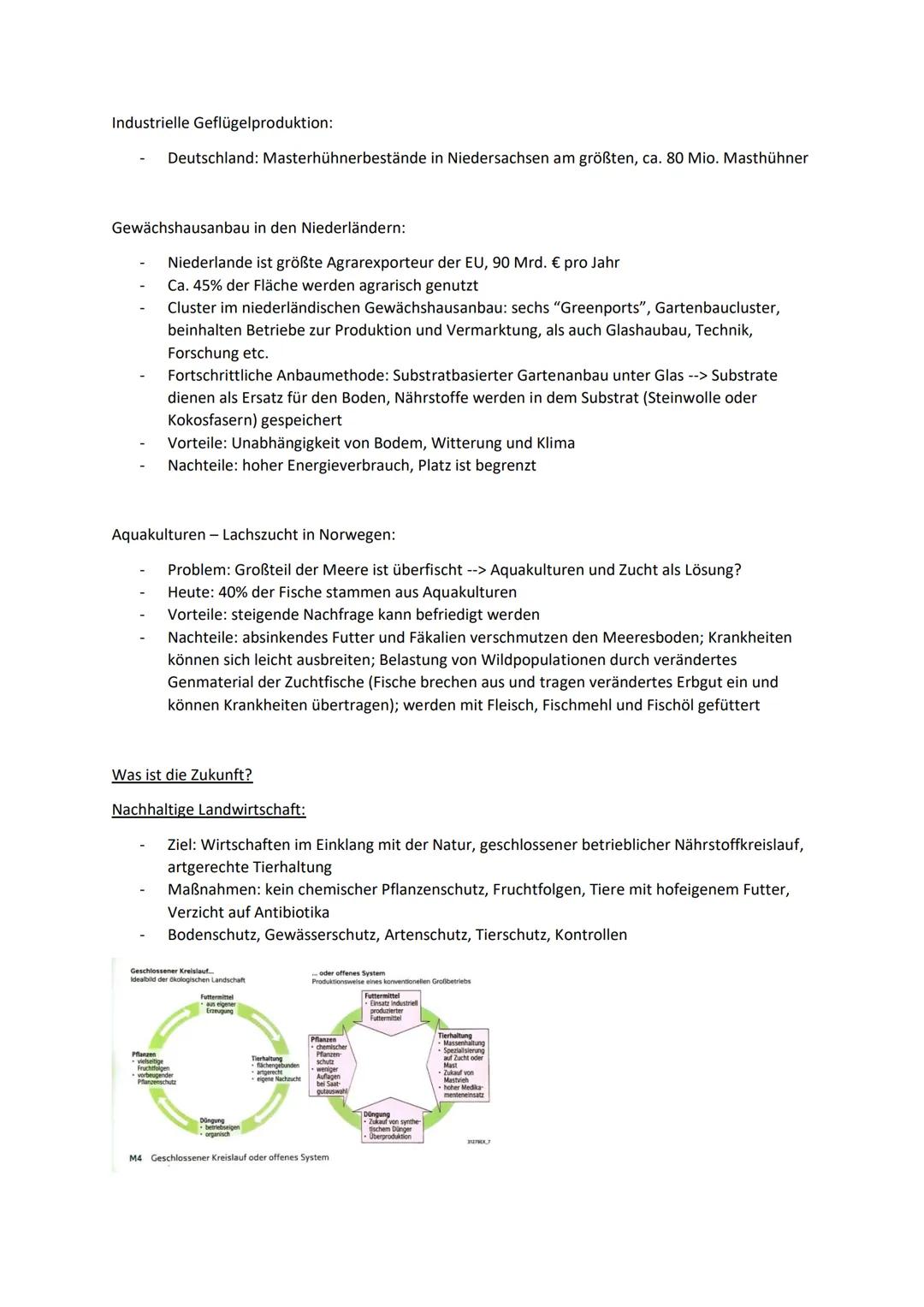 Erdkunde Gk - mündliches Abitur
I. Globale Disparitäten
Disparitäten = ungleiche Lebensbedingungen zwischen zwei oder mehreren Regionen, bez