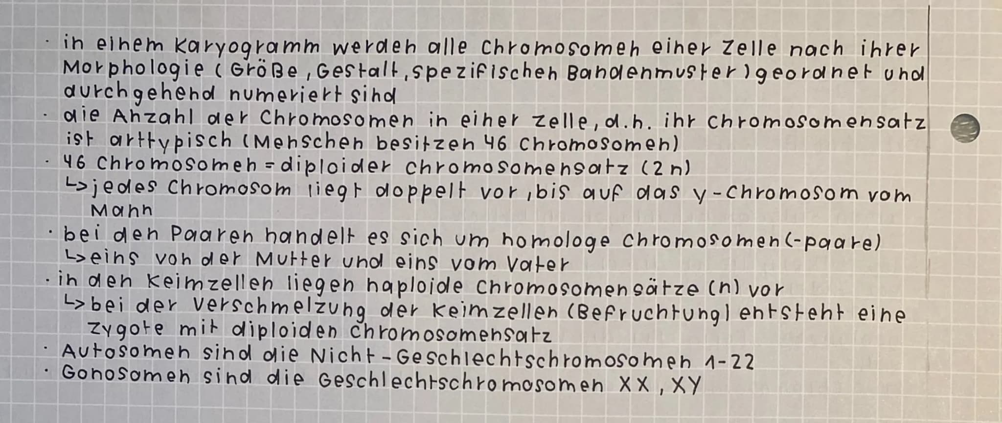 -Genetik und Entwicklung
Zytogenetik - Chromosomen und Vererbung
bei der Bildung von keimzellen muss jede Tochterzelle einen vollstän -
dige