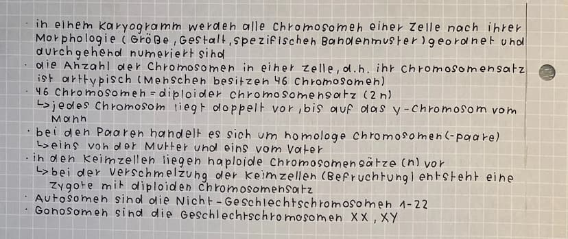 -Genetik und Entwicklung
Zytogenetik - Chromosomen und Vererbung
bei der Bildung von keimzellen muss jede Tochterzelle einen vollstän -
dige