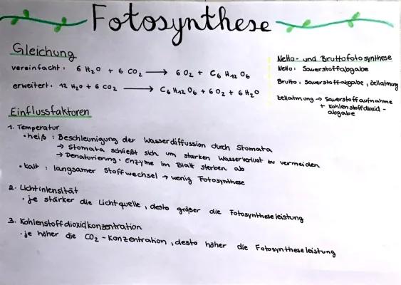 Know Fotosynthese Lernzettel  thumbnail