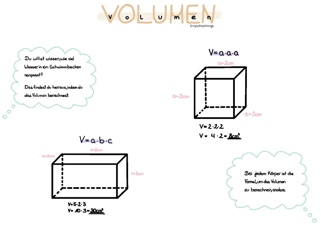 Volumen 5