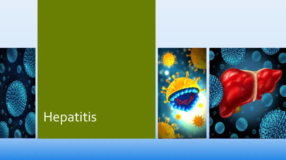 Hepatitis Präsentation Biologie (1er Bereich)