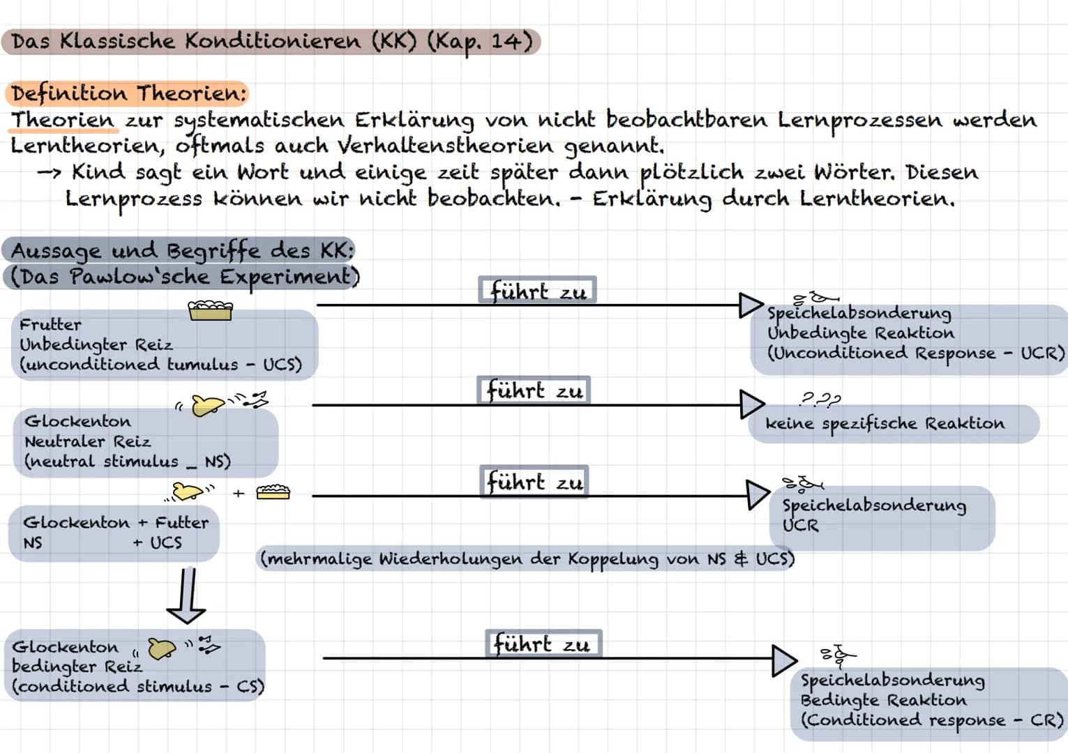Das Klassische Konditionieren (KK) (Kap. 14)
Definition Theorien:
Theorien zur systematischen Erklärung von nicht beobachtbaren Lernprozesse
