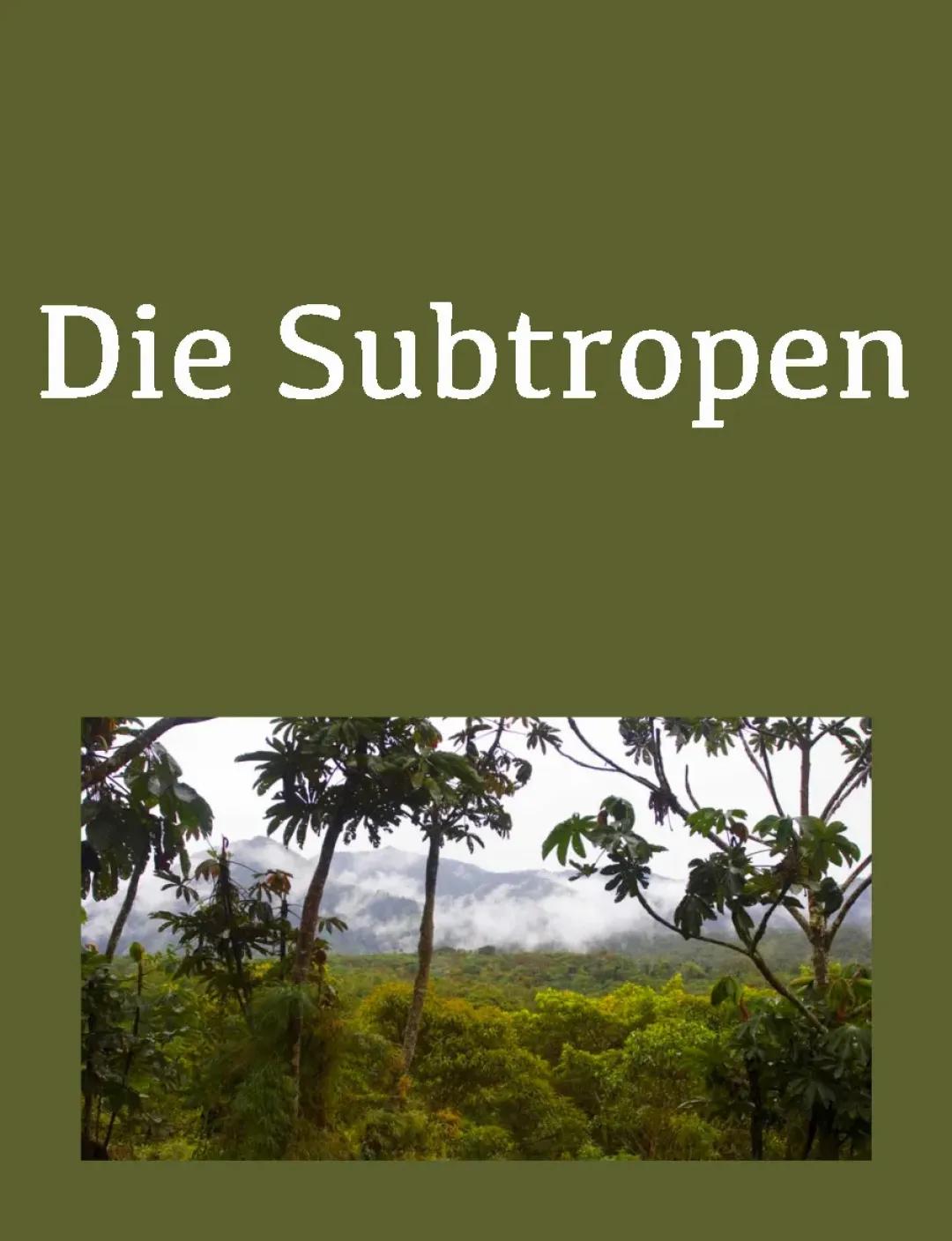 Subtropen (trockene & winterfeuchte Subtropen) - Zusammenfassung