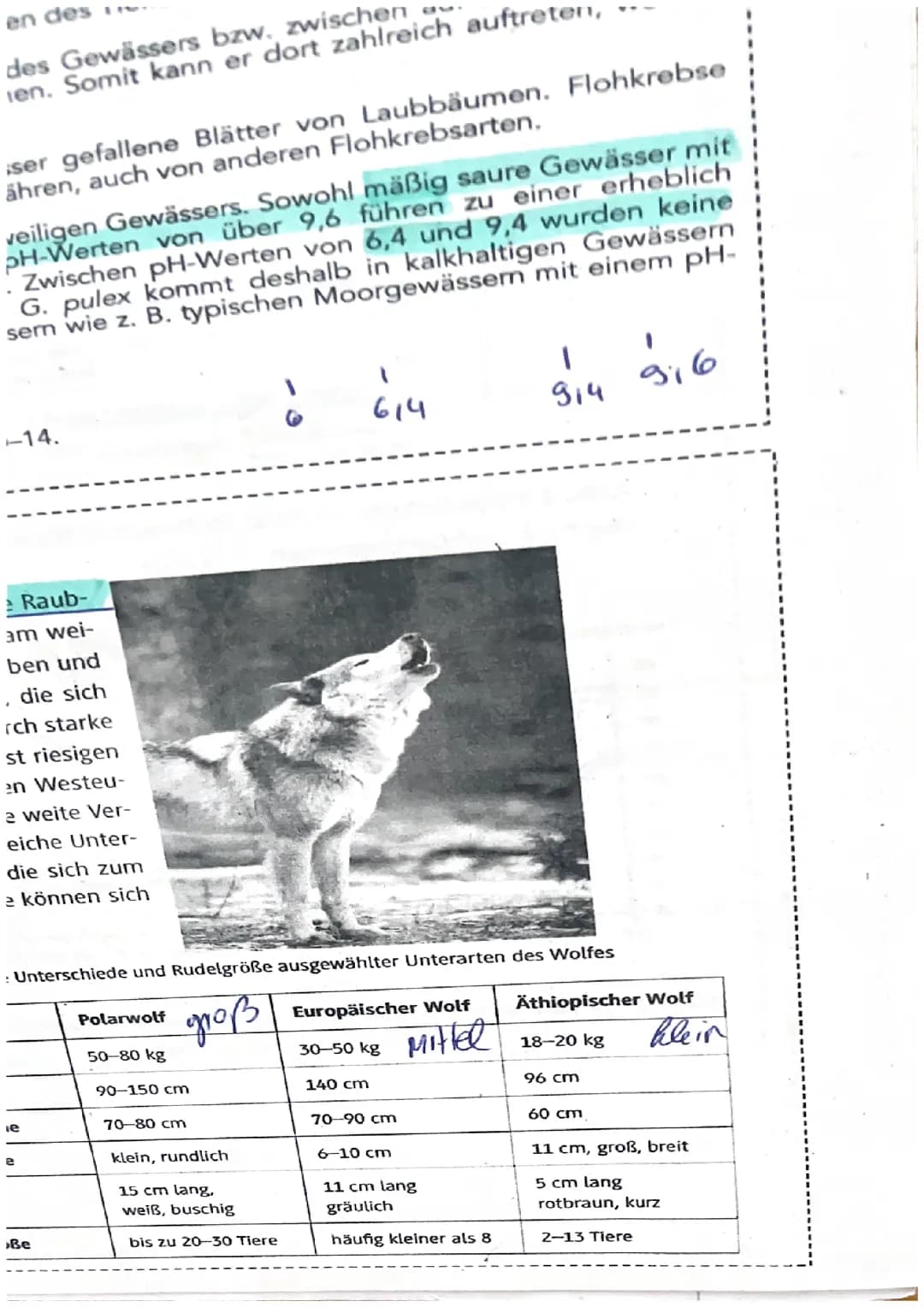 Biologie Klausur Ökologie