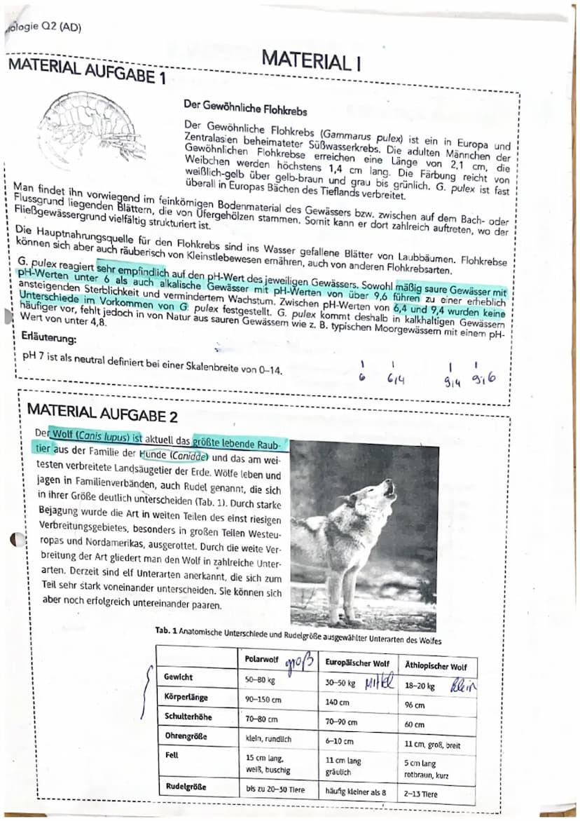 en des
des Gewässers bzw. zwischen
ien. Somit kann er dort zahlreich auftreten,
iser gefallene Blätter von Laubbäumen. Flohkrebse
ähren, auc