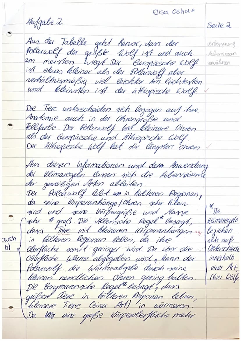 en des
des Gewässers bzw. zwischen
ien. Somit kann er dort zahlreich auftreten,
iser gefallene Blätter von Laubbäumen. Flohkrebse
ähren, auc