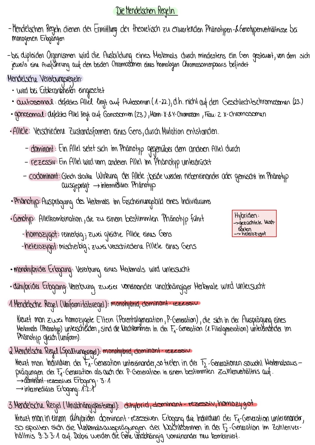 Mendelsche Regeln und Genetik - Einfach erklärt Arbeitsblatt mit Lösungen PDF