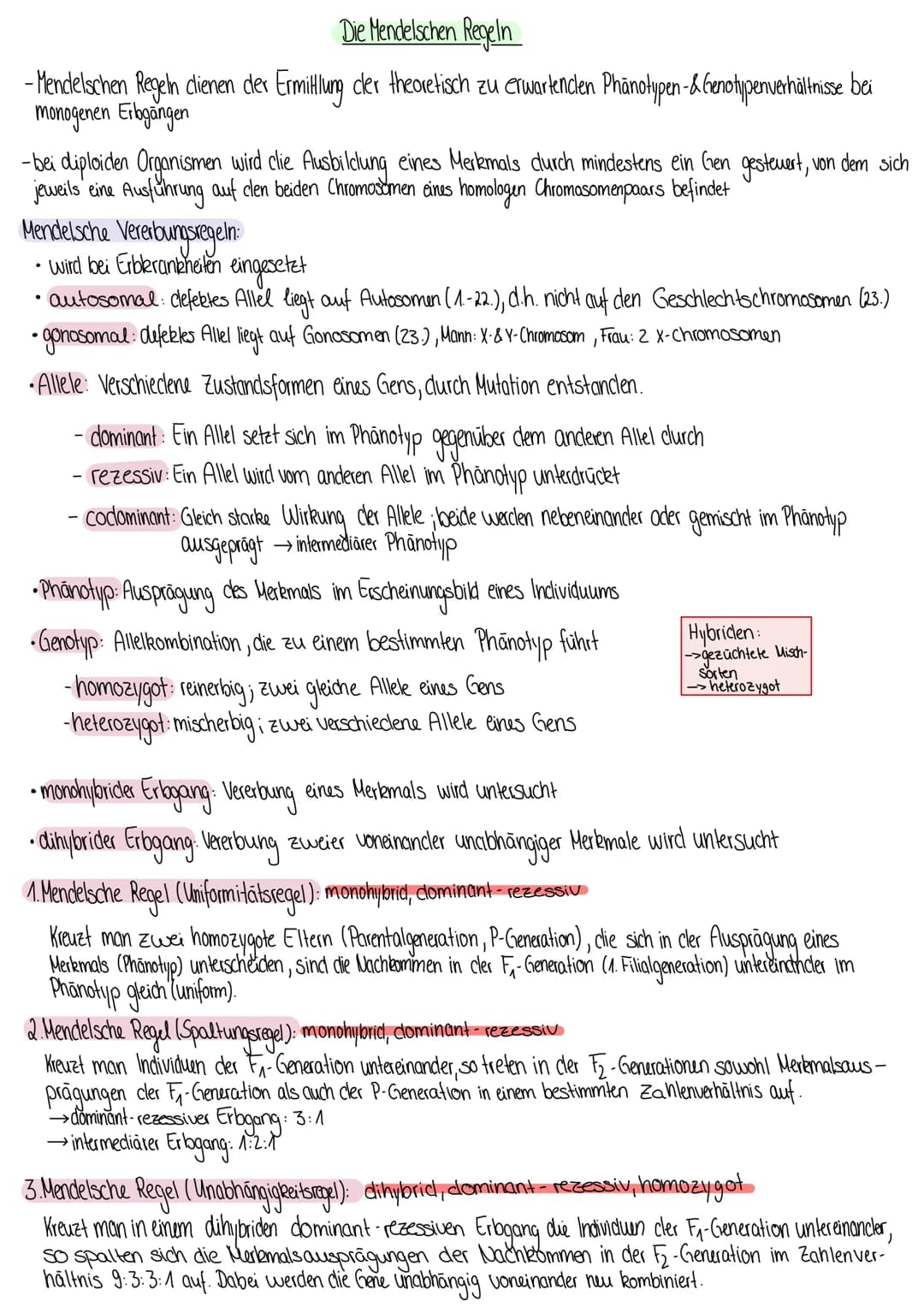 Die Mendelschen Regeln
- Mendelschen Regeln clienen der Ermittlung der theoretisch zu erwartenclen Phänotypen- & Genotypenverhältnisse bei
m