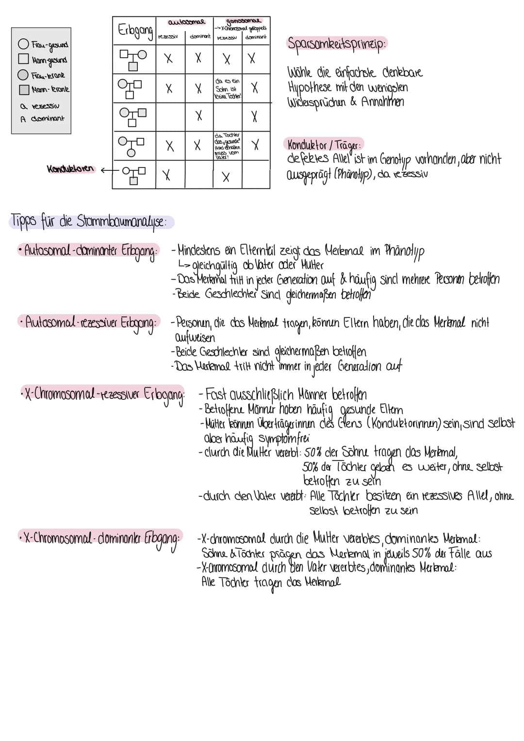 Die Mendelschen Regeln
- Mendelschen Regeln clienen der Ermittlung der theoretisch zu erwartenclen Phänotypen- & Genotypenverhältnisse bei
m