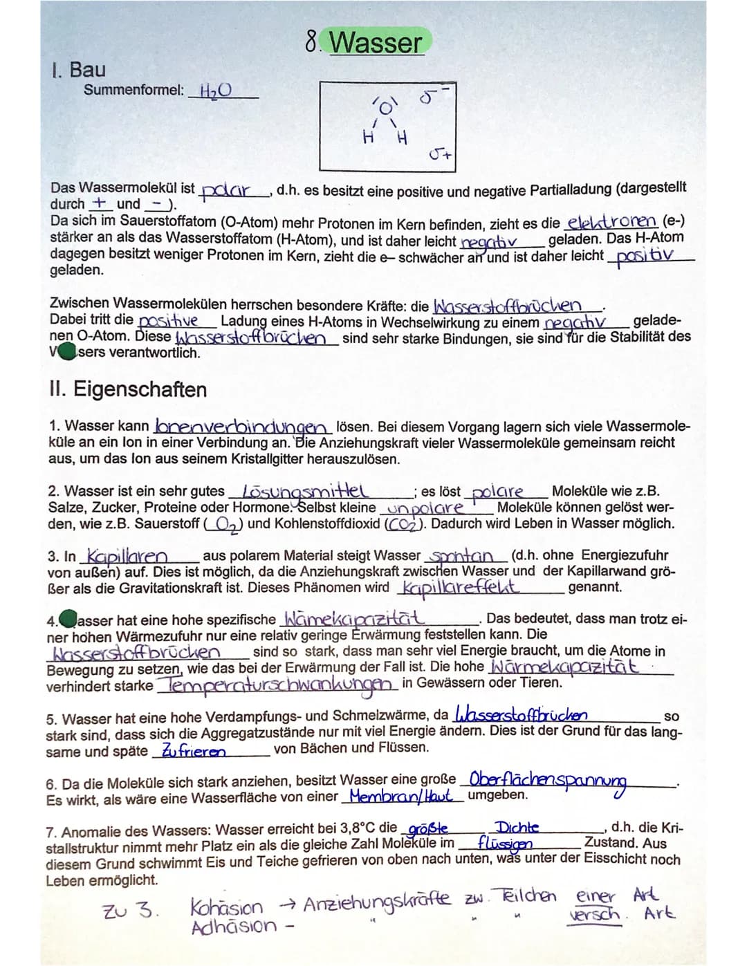 3. ATP
→
- Lebewesen sind aus Zellen aufgebaut
- Einzeller (wie Bakterien, Euglena Pantoffeltier,....) bestehen aus 1 Zelle, die alle Lebens