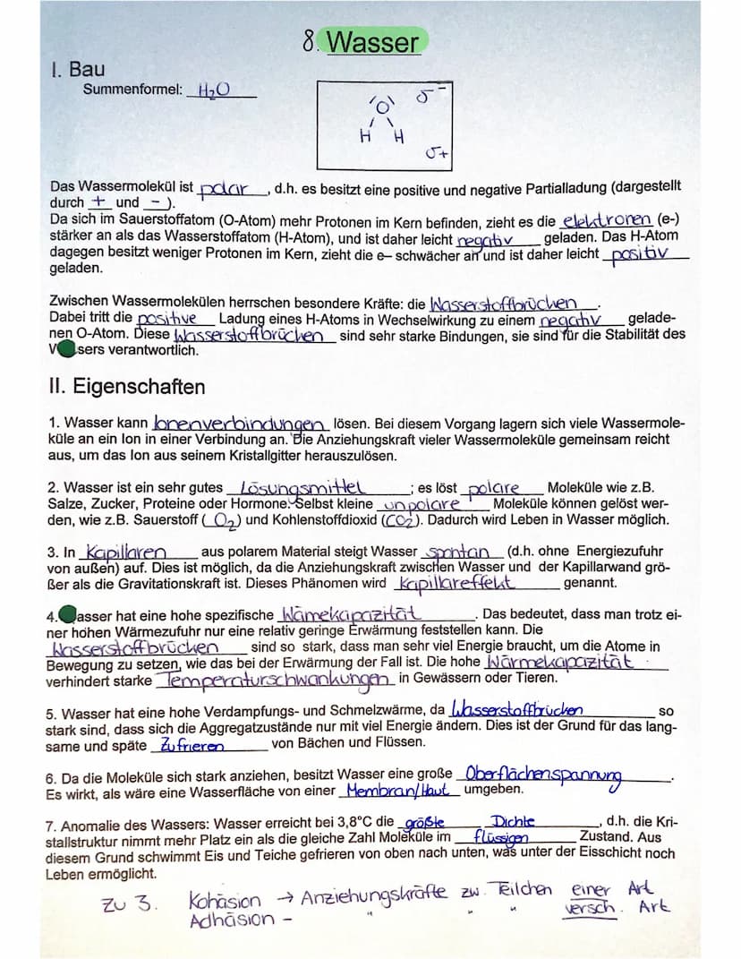 3. ATP
→
- Lebewesen sind aus Zellen aufgebaut
- Einzeller (wie Bakterien, Euglena Pantoffeltier,....) bestehen aus 1 Zelle, die alle Lebens