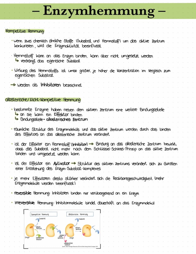 – Enzymgleichung/-reaktion –
•E+S = Enzym-Substrat- Komplex = E+P
Das Substrat bindet an das aktive Zentrum des Enzyms
↳ Enzym-Substrat - Ko