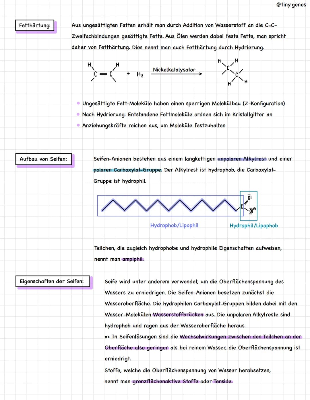 |
Aufbau von Fetten:
Latte.
Sator and forside
Fette sind Ester bestehend aus Glycerin (einem dreiwertigen Alkohol) und
drei langkettigen Car