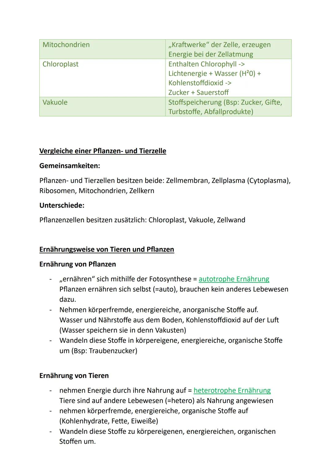 # Pflanzliche und Tierische Zellen

Entwicklung der Zellenlehre

1665: Robert Hooke entdeckt beim Mikroskopieren Zellen im Kork

1839: „Alle