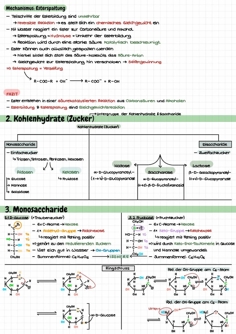 Themen
- Mechanismus: Esterbildung/Esterspaltung (sauer) ✓
- Honosaccharide: Glucose, Fructose v
HD- und L-Konfiguration ✓
FISCHER & HAWORTH
