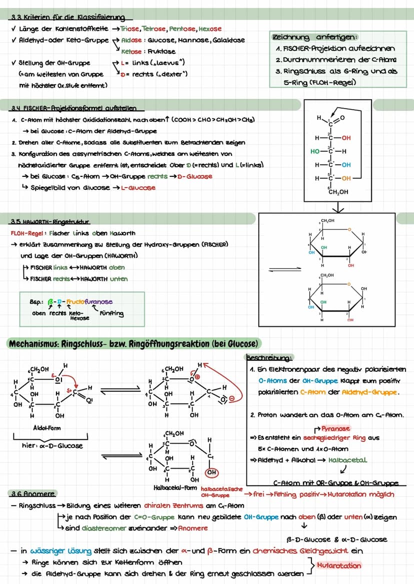 Themen
- Mechanismus: Esterbildung/Esterspaltung (sauer) ✓
- Honosaccharide: Glucose, Fructose v
HD- und L-Konfiguration ✓
FISCHER & HAWORTH