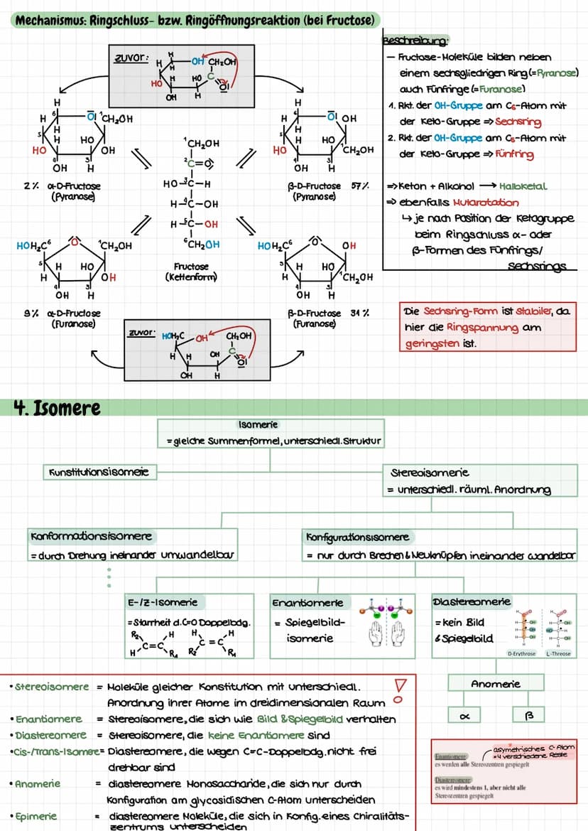 Themen
- Mechanismus: Esterbildung/Esterspaltung (sauer) ✓
- Honosaccharide: Glucose, Fructose v
HD- und L-Konfiguration ✓
FISCHER & HAWORTH