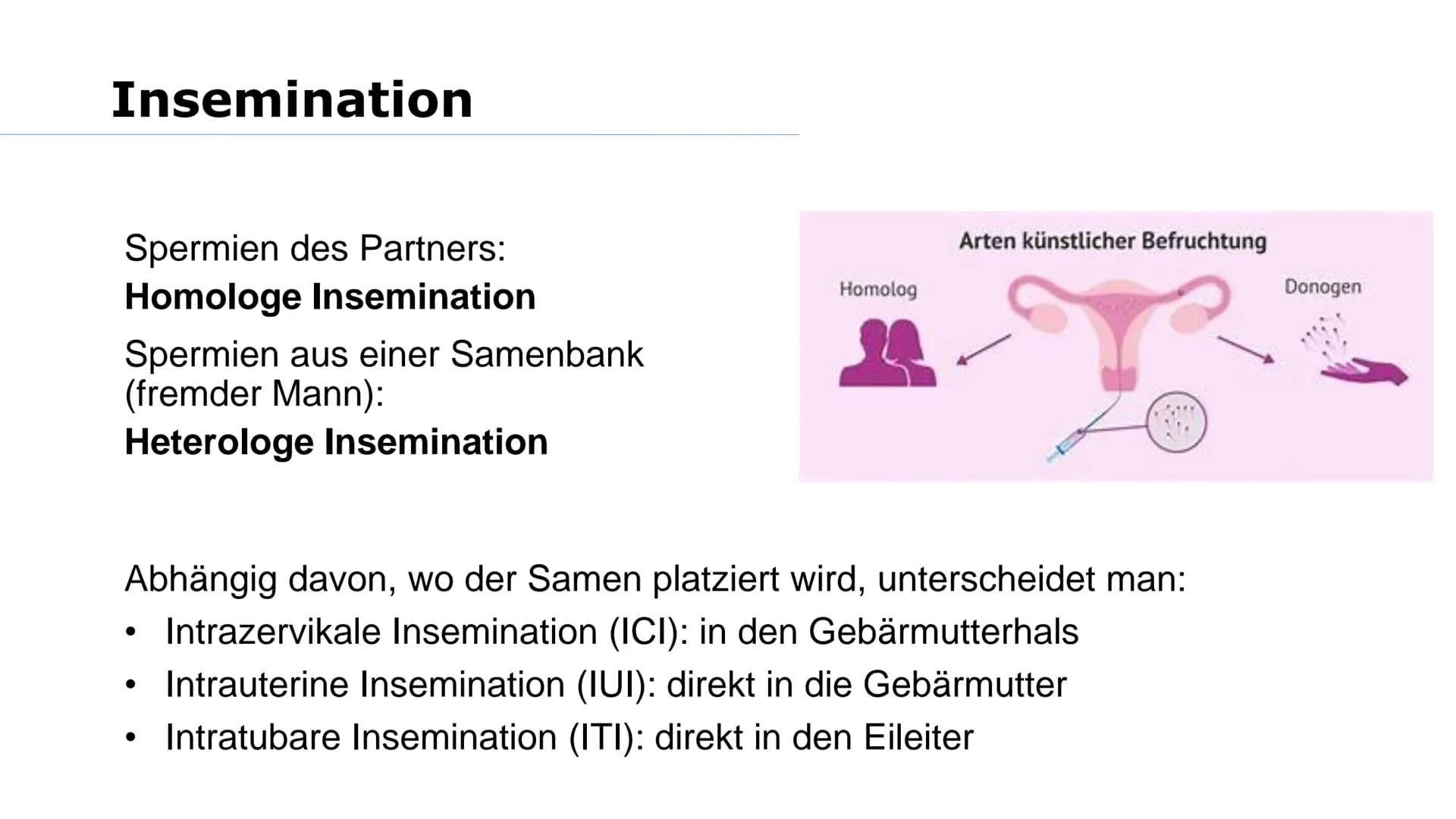 Wer von euch möchte mal Kinder haben? Was macht ihr, wenn es nicht funktioniert? Gliederung
➤Reproduktionsmedizin
Retorten-Baby
> Methoden:
