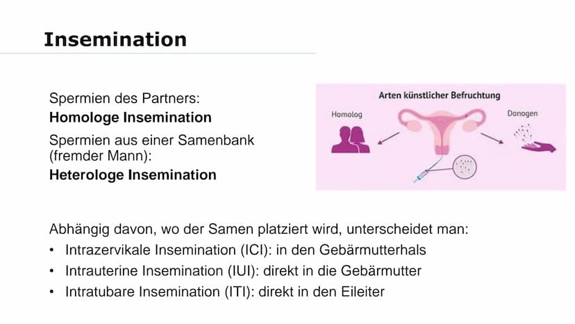 Wer von euch möchte mal Kinder haben? Was macht ihr, wenn es nicht funktioniert? Gliederung
➤Reproduktionsmedizin
Retorten-Baby
> Methoden:
