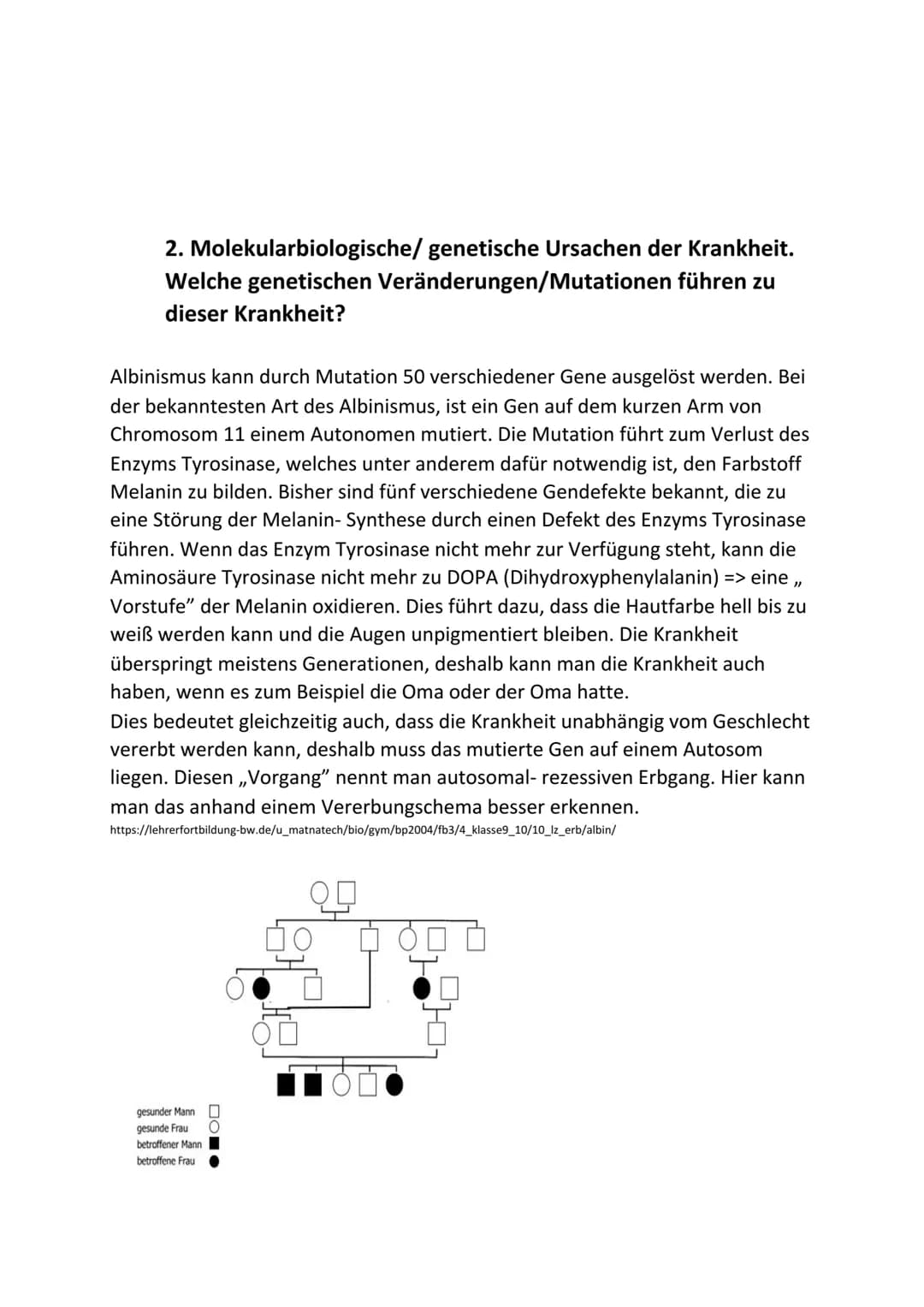 3. Wie kann es aufgrund der genetischen
Veränderungen/Mutationen
kommen?
zu den Krankheitssymptomen
Direkte gesundheitliche Schäden treten d