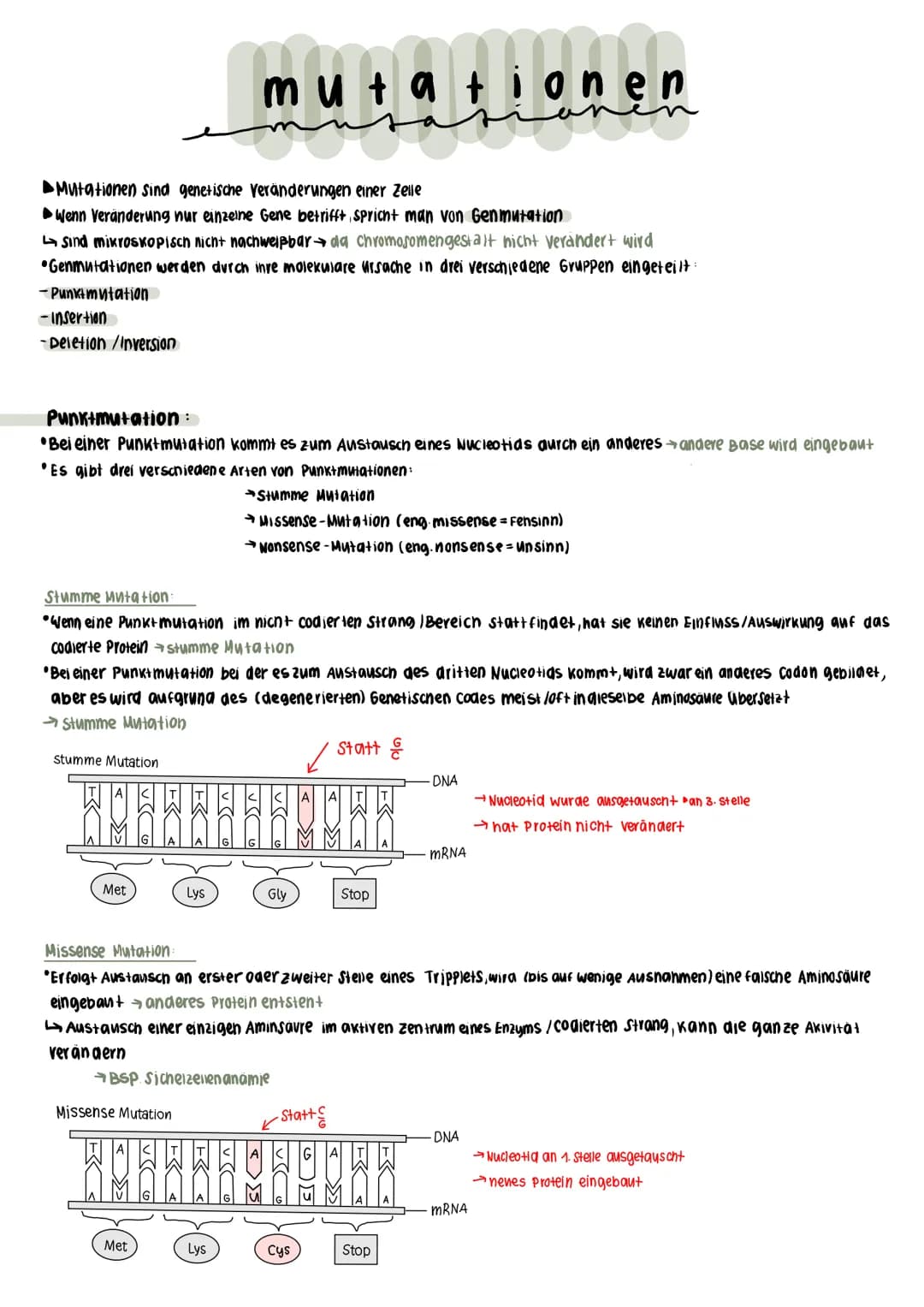 -Insertion
-Deletion /Inversion
Mutationen sind genetische Veränderungen einer Zelle
►Wenn Veränderung nur einzelne Gene betrifft spricht ma
