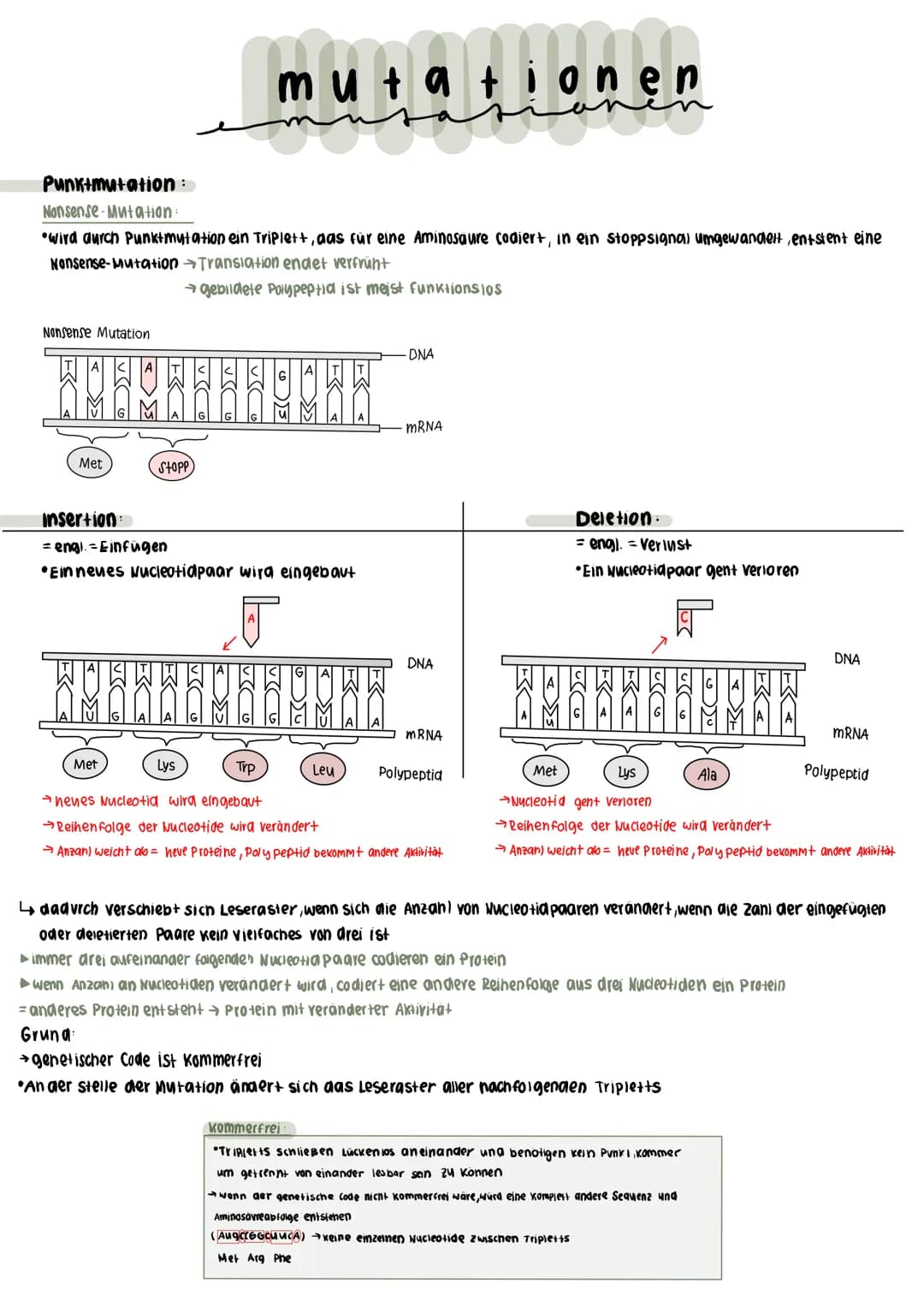 -Insertion
-Deletion /Inversion
Mutationen sind genetische Veränderungen einer Zelle
►Wenn Veränderung nur einzelne Gene betrifft spricht ma