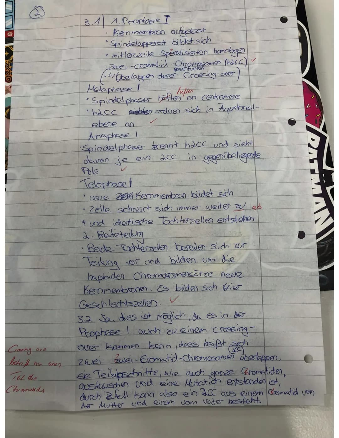Gooing
betreft
Tal dis
Chanakids
Du when
3.1 1.Prophase I
Kemmembron aufgelast
Spindelapperat bildet sich
mitlerweile Speralisierten homolog