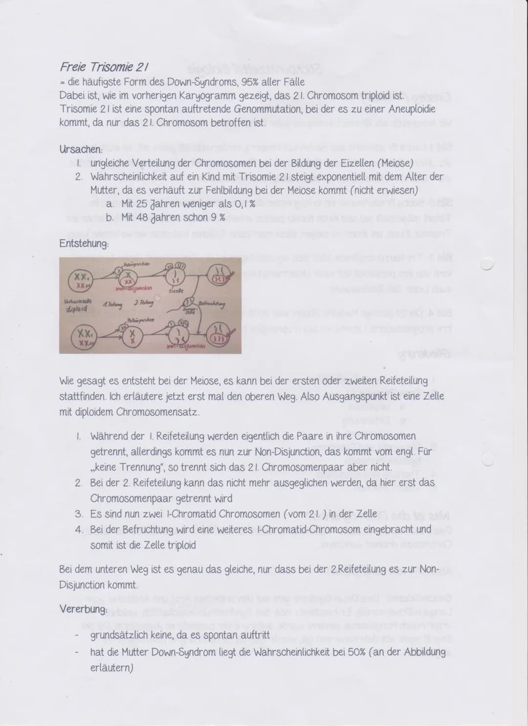 Stichpunktzettel Biologie
Einstieg (4 Bilder)
Wir lesen euch als kleinen Einstieg zu jeder Person deren kleine Geschichte vor.
Bild 1: Laura