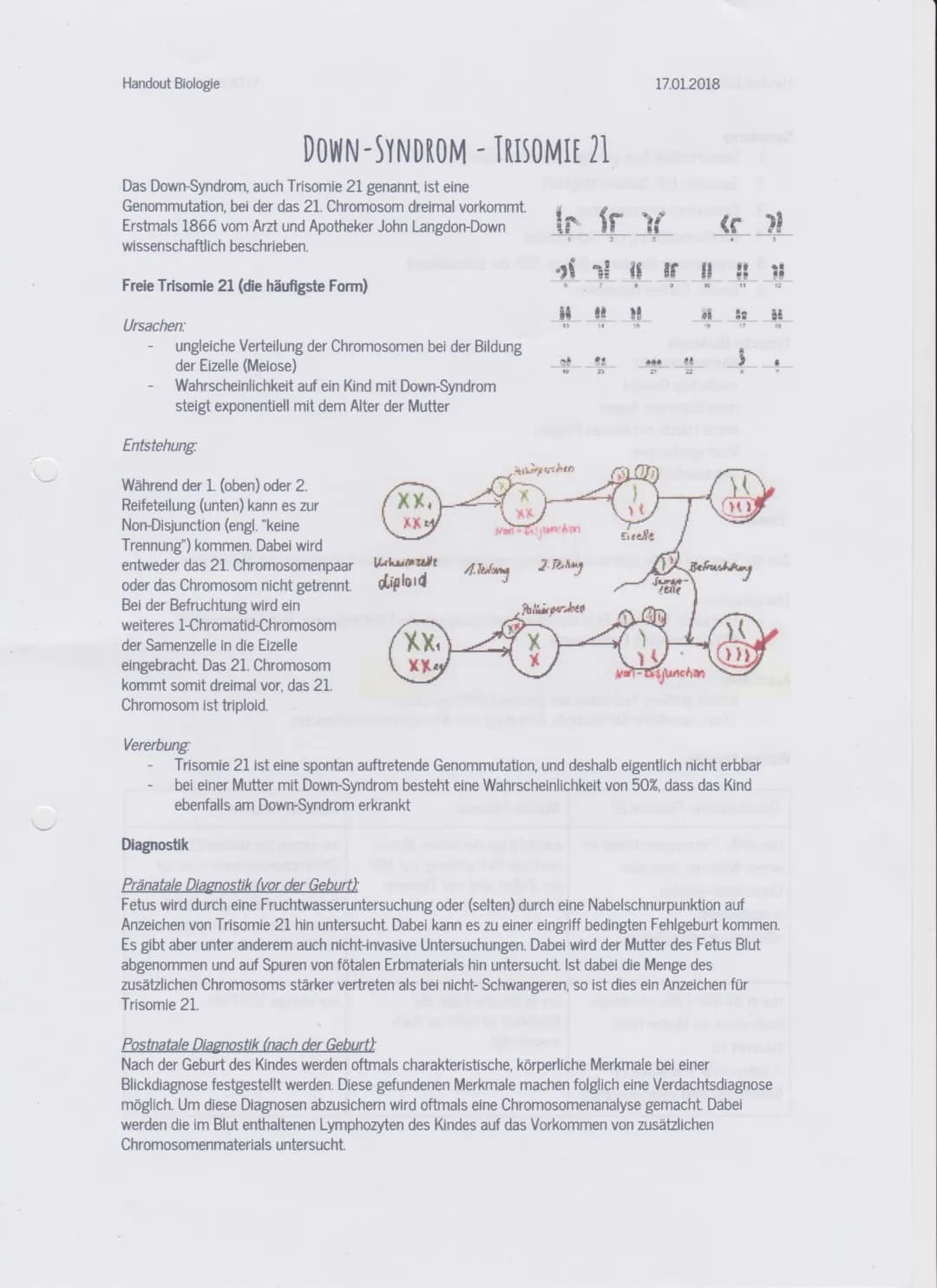 Stichpunktzettel Biologie
Einstieg (4 Bilder)
Wir lesen euch als kleinen Einstieg zu jeder Person deren kleine Geschichte vor.
Bild 1: Laura