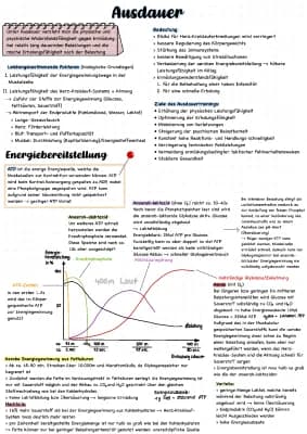 Know Ausdauer Sport LK (Energiebereitstellung, Ausdauerfähigkeiten, Trainingsmethoden, Leistungsbestimmende Faktoren, Trainingswirkungen) thumbnail