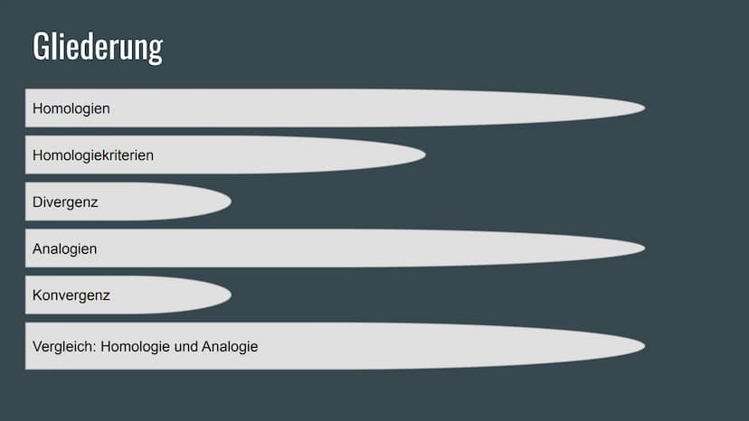Homologie und
Analogie
Belege für die Verwandschaft Gliederung
Homologien
Homologiekriterien
Divergenz
Analogien
Konvergenz
Vergleich: Homol