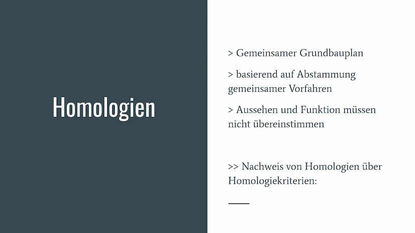 Homologie und
Analogie
Belege für die Verwandschaft Gliederung
Homologien
Homologiekriterien
Divergenz
Analogien
Konvergenz
Vergleich: Homol