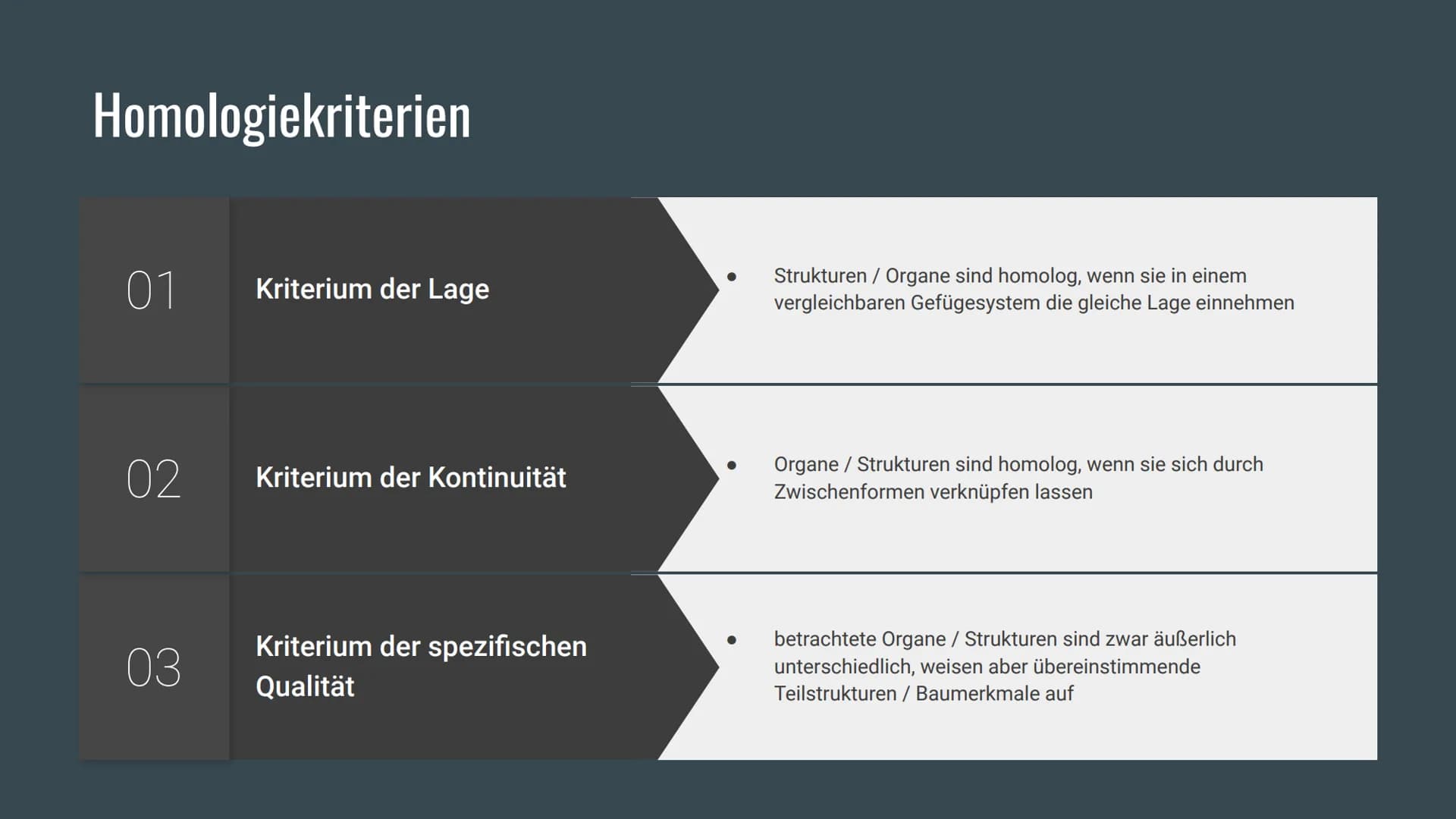Homologie und
Analogie
Belege für die Verwandschaft Gliederung
Homologien
Homologiekriterien
Divergenz
Analogien
Konvergenz
Vergleich: Homol