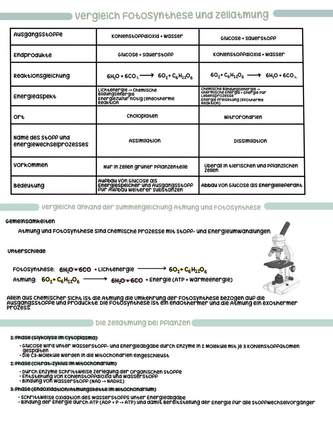 # Zellatmung

wozu Atmung:

- chemische Energie, die bei der Fotosynthese in der Glucose
freigesetzt wird, durch die Atmung freigesetzt
- Gr