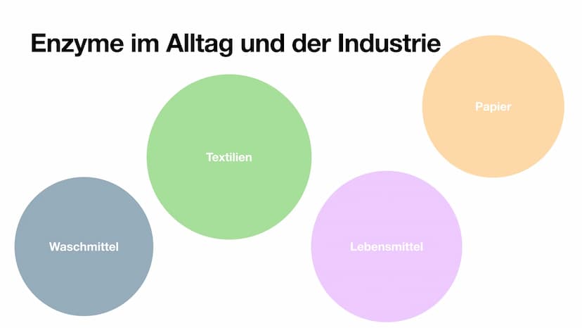 Enzyme im Alltag Inhaltsverzeichnis
• Funktion von Enzymen
●
Enzyme im Alltag und Industrie
Enzyme in der Medizin
Gewinnung
• Vorteile und N