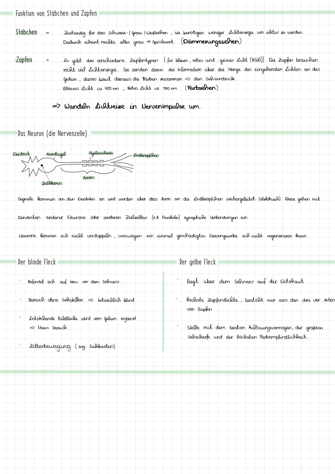Aufbau des Auges
Glaskörper
Ziliarmuskel
ziliarkörper
Hornhaut
Pupille
Linse
Iris
Aufbau der Netzhaut und Funktion
Licht
Licht
Licht
Glaskör