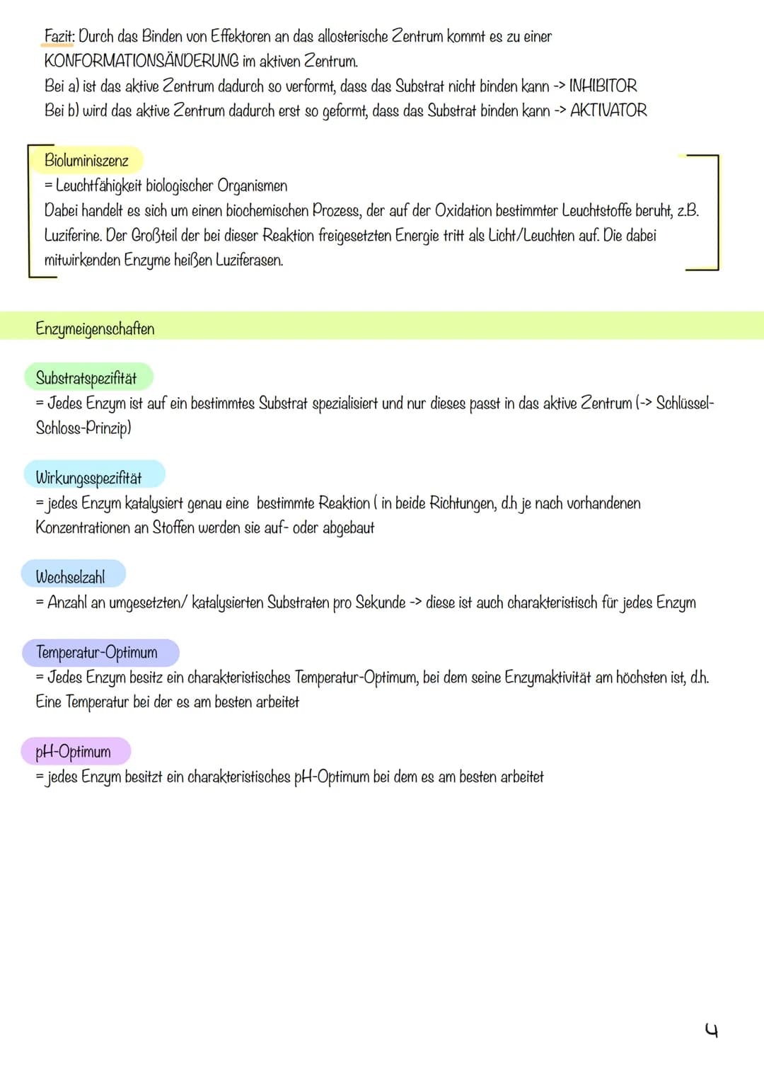 Struktur der Proteine
1. Primärstruktur
Aneinanderreihung verschiedener Aminosäuren in unterschiedlicher Abfolge
Bindung: Peptidbindung
2. S