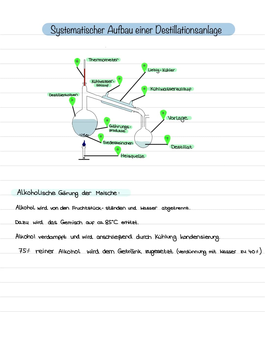 Systematischer Aufbau einer Destillationsanlage
Destillierkolben
Thermometer
Kühlwasser-
ablauf
Gährungs-
produkte
Siedesteinchen
Heizquelle