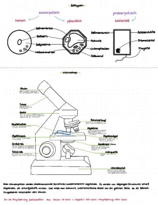 Know Mikroskopieren thumbnail