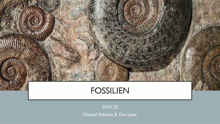 Know  Fossilien thumbnail