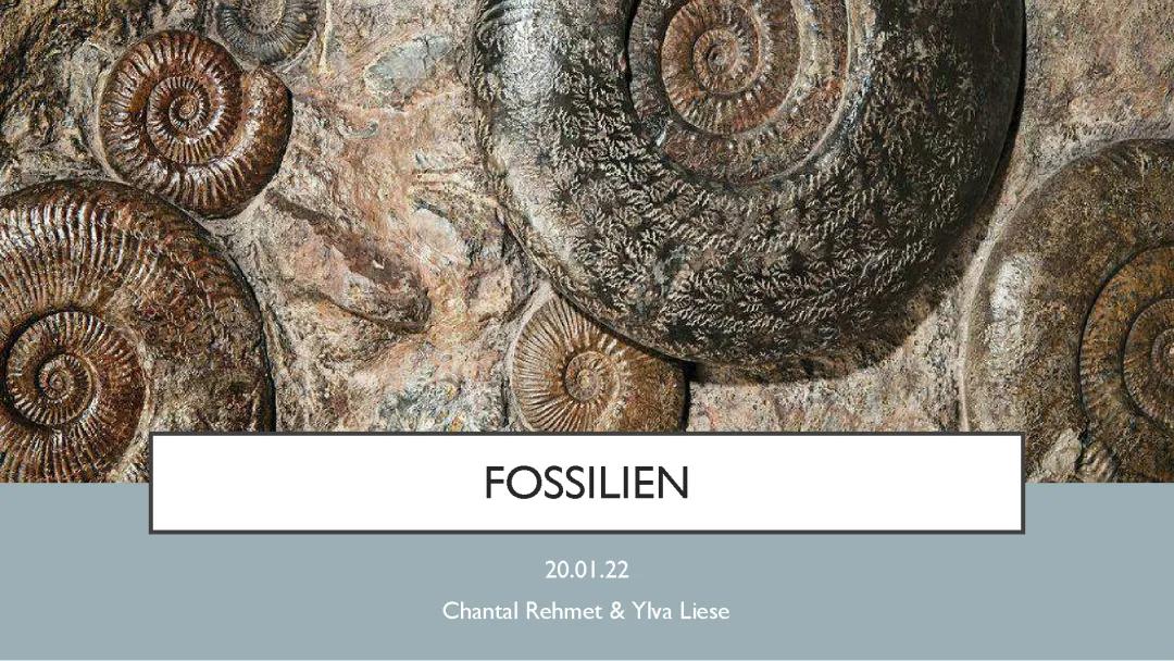 Fossilien: Wie sie entstehen und warum sie wichtig für die Evolution sind