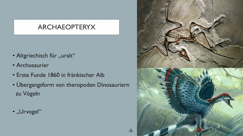 FOSSILIEN
20.01.22
Chantal Rehmet & Ylva Liese Was sind
Fossilien?
Altersbestim-
mung
GLIEDERUNG
Charles Darwin
Unterscheidung
Evolutions-
t